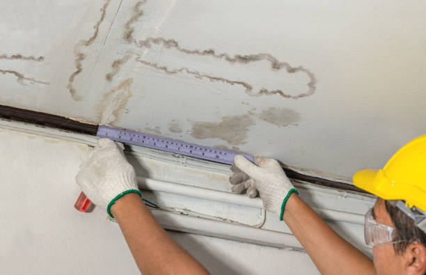Reliable Burst Pipe Cleanup contractor in Great Meadows, NJ by Water Damage Irwin